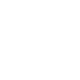 Go Live & Scale